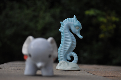 Picture of an elephant and seahorse in an aperture mode.